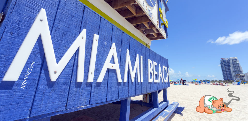 Sourcing Weed in Miami and Where To Find It