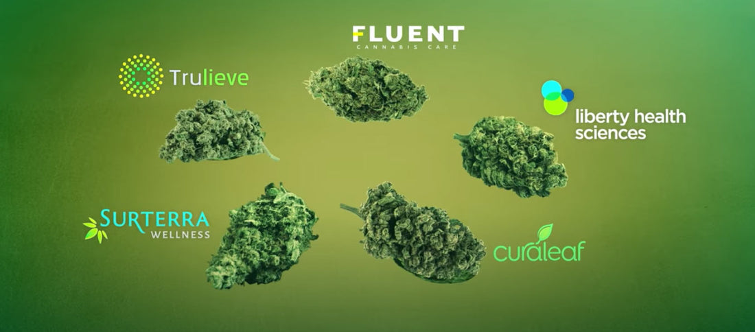 Is Florida Cannabis Ruined By Vertical Integration?