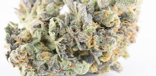 Marijuana in Miami