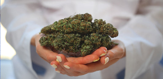 Important Steps To Take When Seeking A Medical Marijuana Doctor