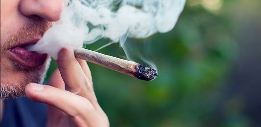Cannabis-Related Business Ideas