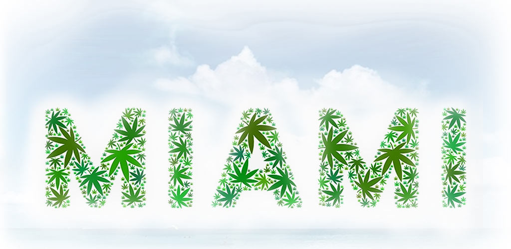 Cannabis Events - Art and Music Events in Miami South Florida
